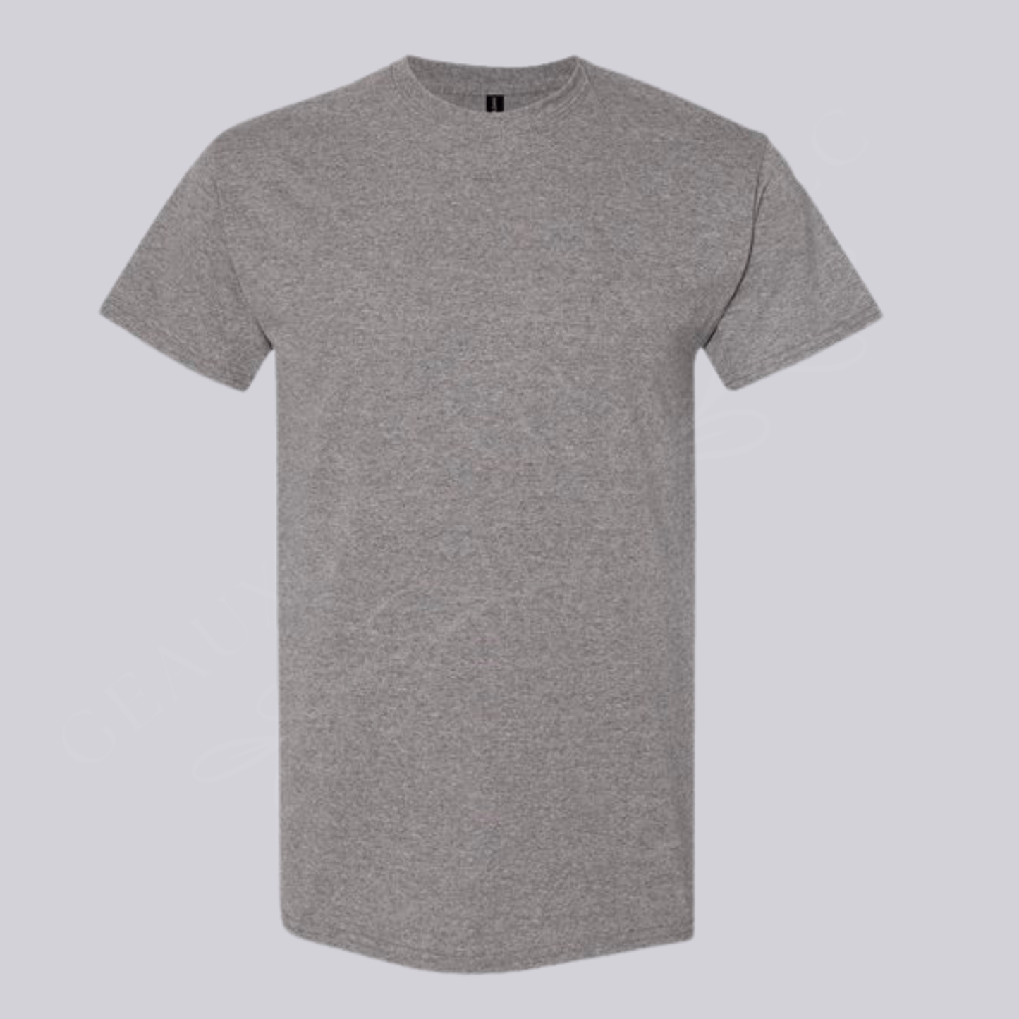 Unisex Heavy Cotton Gildan T-Shirt - 5000