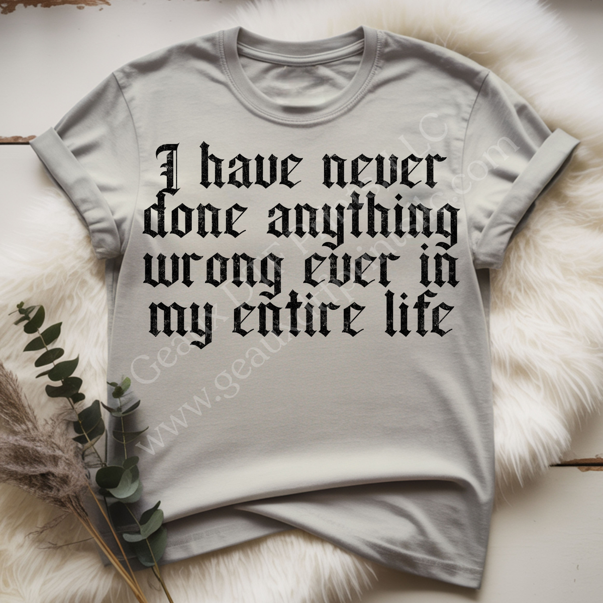I Have Never DTF Single Print