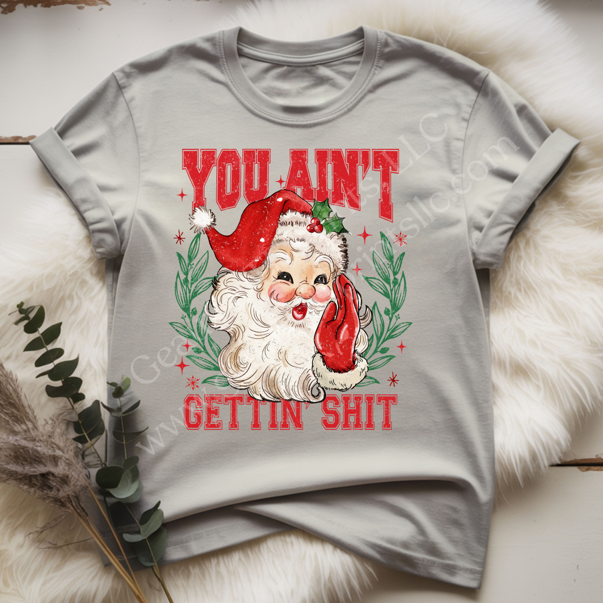 You Ain't Gettin Shit DTF Single Print