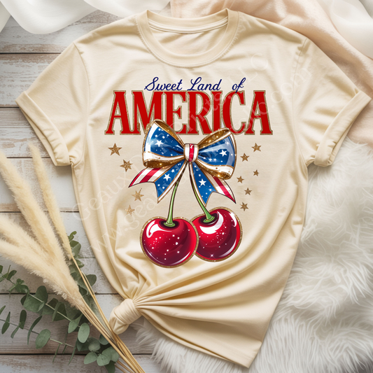 Sweet Land of America DTF Single Print