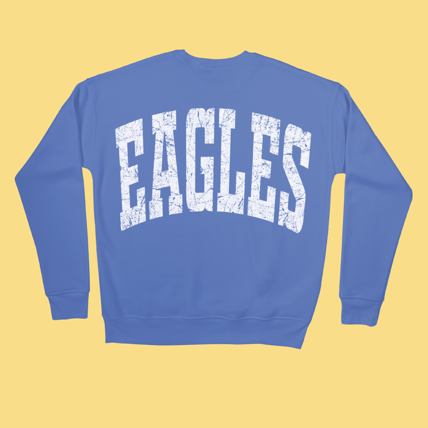 Eagles Distressed DTF Print